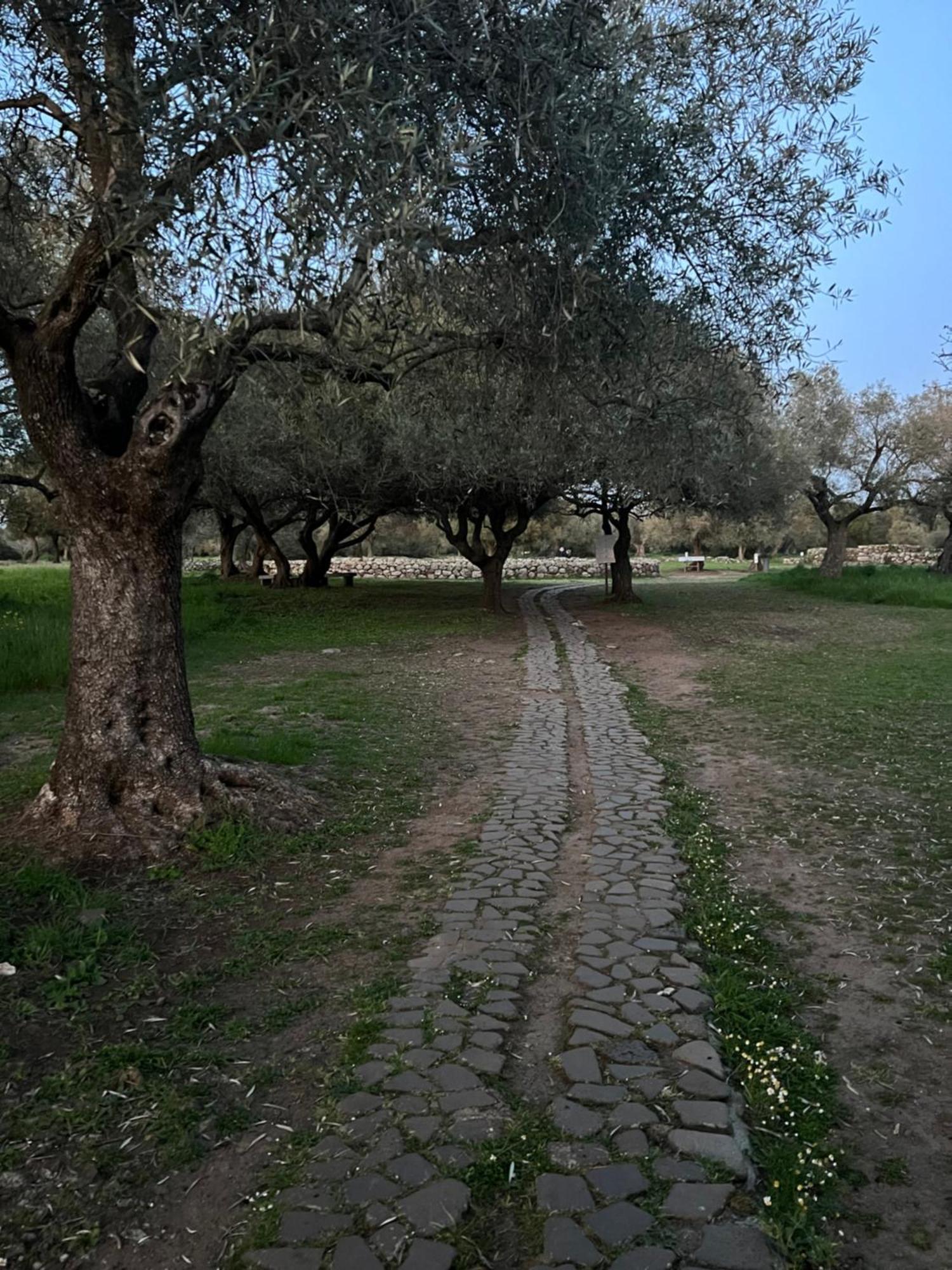 Muristene Pozzo Santa Cristina Paulilatino Kültér fotó