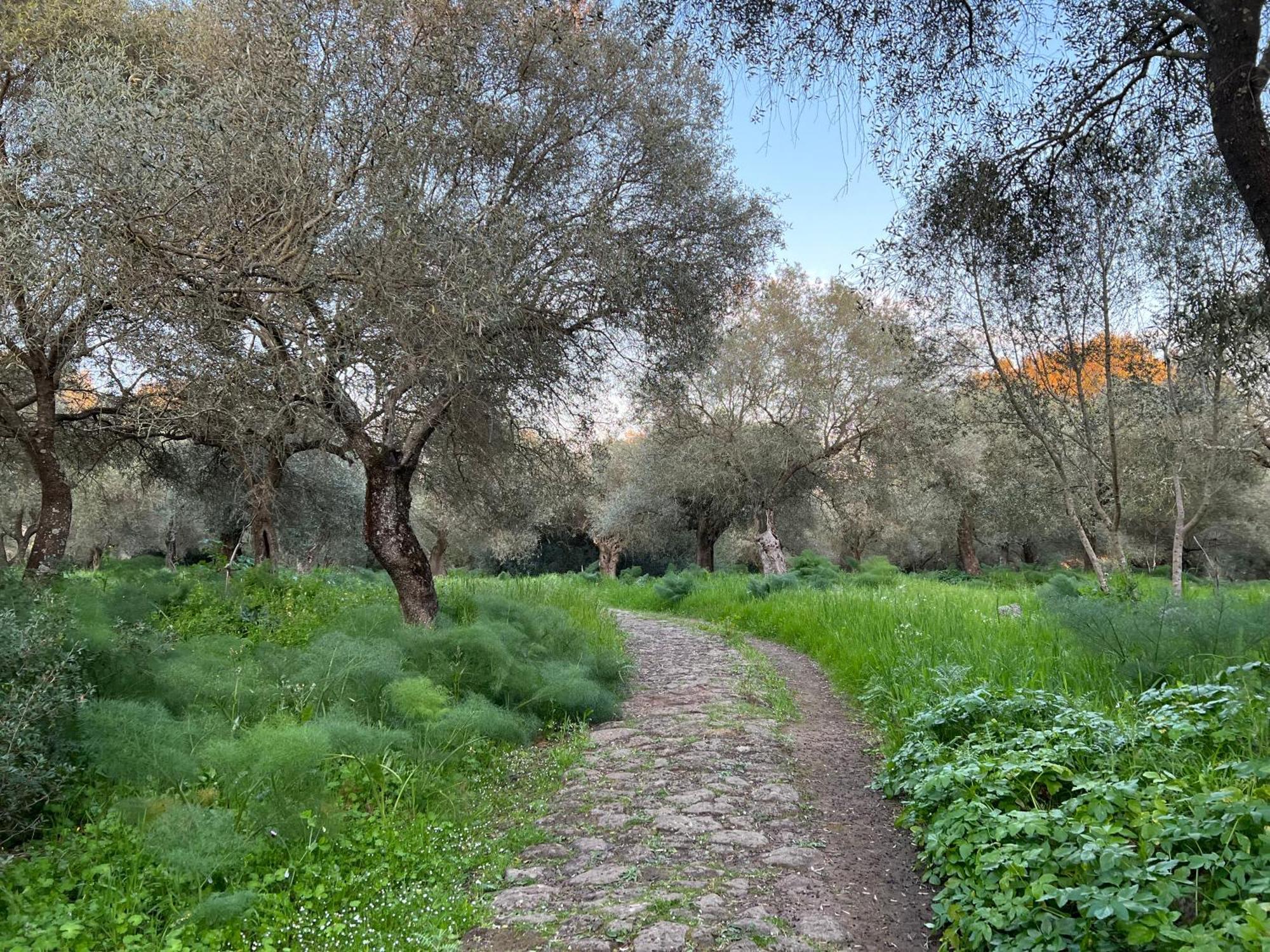 Muristene Pozzo Santa Cristina Paulilatino Kültér fotó