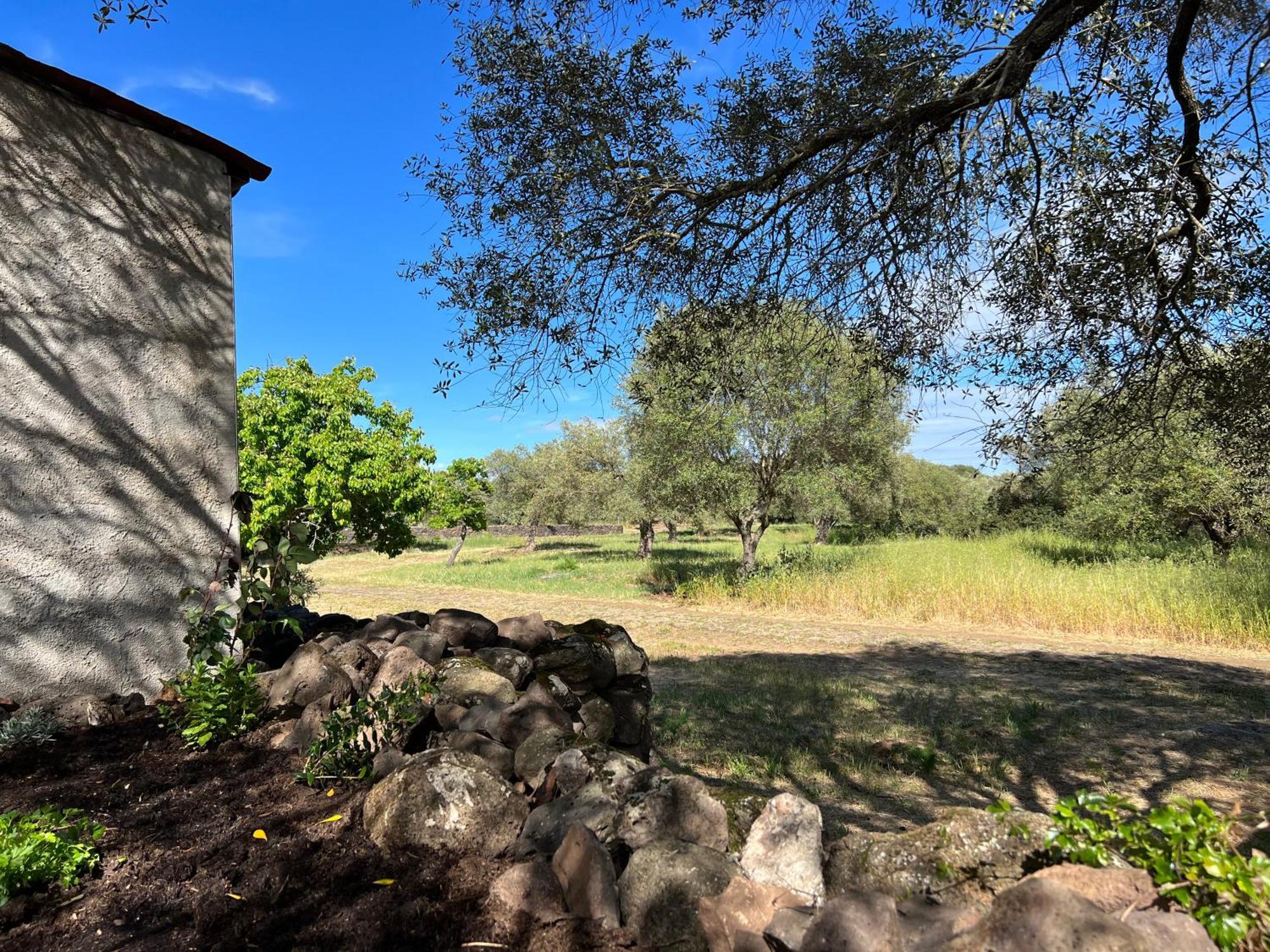 Muristene Pozzo Santa Cristina Paulilatino Kültér fotó