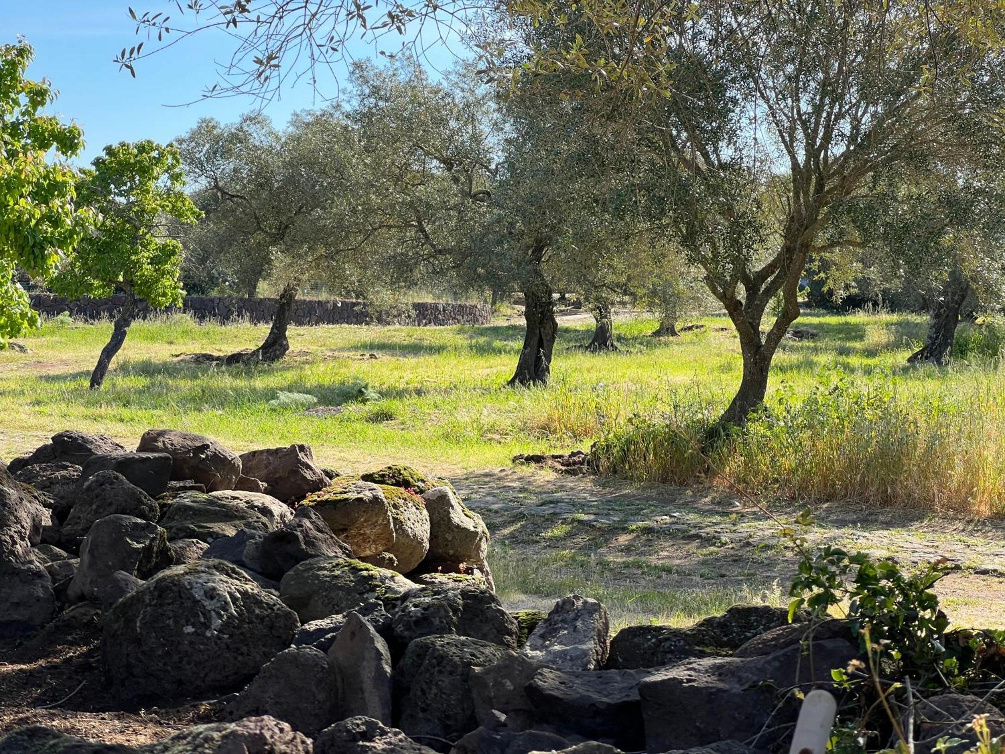 Muristene Pozzo Santa Cristina Paulilatino Kültér fotó